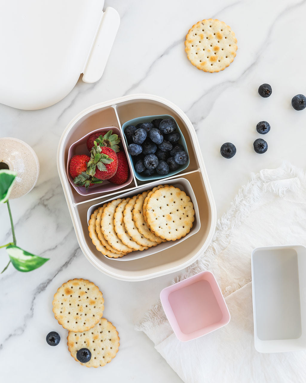 Silicone Baking Cups | Dusty Rose & Blue | Bento