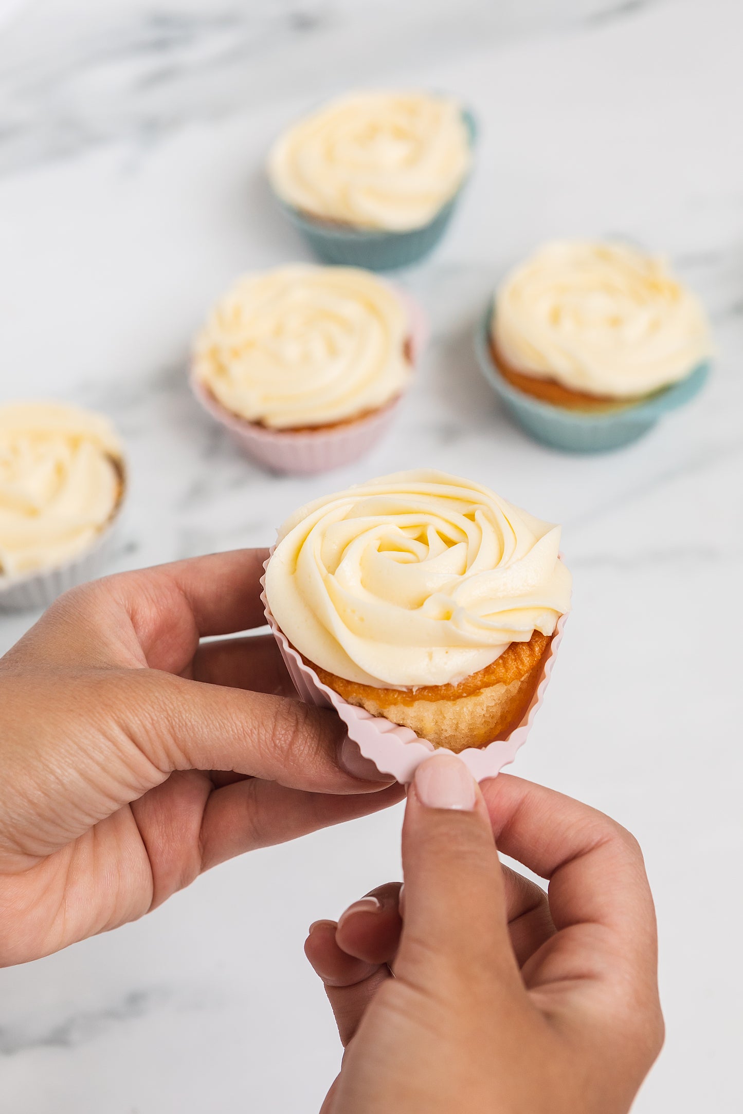 Silicone Baking Cups | Dusty Rose & Blue | Regular