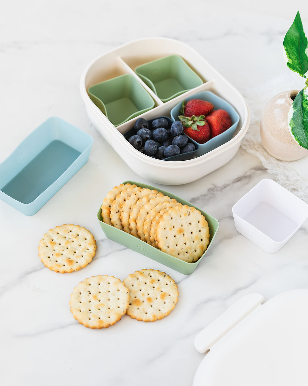 Silicone Baking Cups | The Signature Collection | Bento