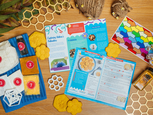 Hexagon Honeycomb Cookies Activity Kit
